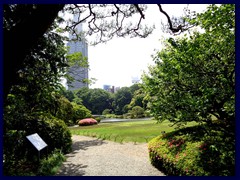 Shinjuku Gyoen 11